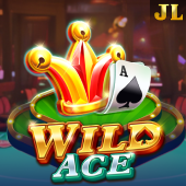 Wild Ace super games apk slot